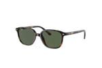 Γυαλιά Ηλίου Rayban Junior 9093S LEONARD JR 152/71